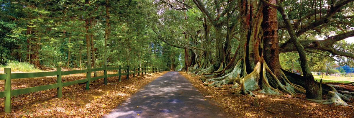 Hundred Acres